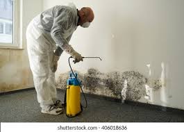 Why You Should Choose Our Mold Remediation Services in Black Jack, MO